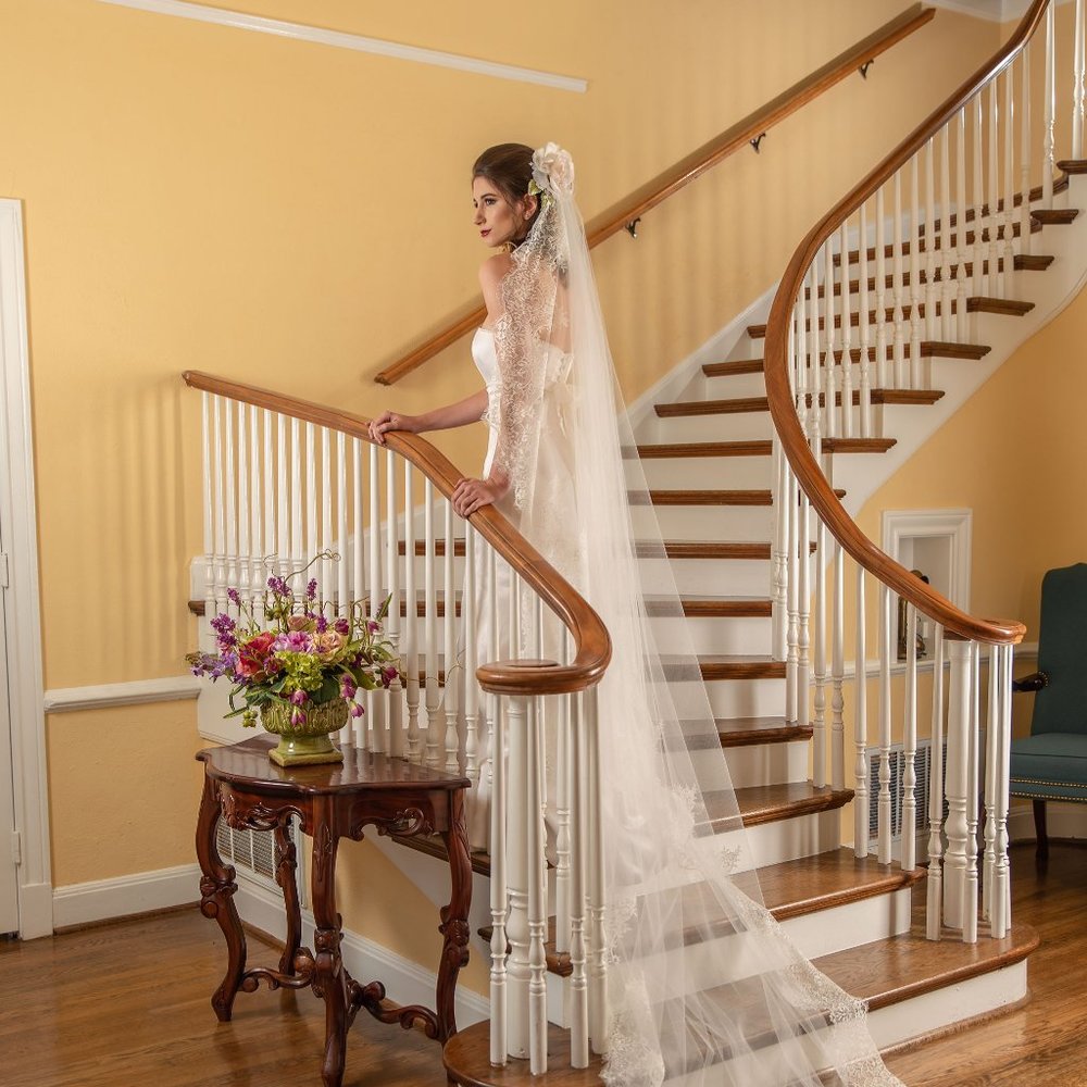 Chantilly lace edge ivory cathedral wedding veil